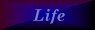 life.jpg (1188 bytes)